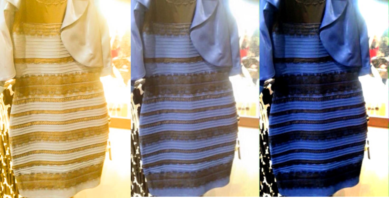 The Dress, Color Perception, and What is Real? | Ask an Entomologist