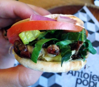 A resturante in NY started offering burgers made of crickets - Called the "Grass Whopper" 
