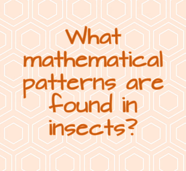 what mathematical patterns are found in insects? Ask an Entomologist 
